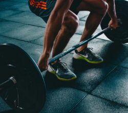 how often should you go to the gym