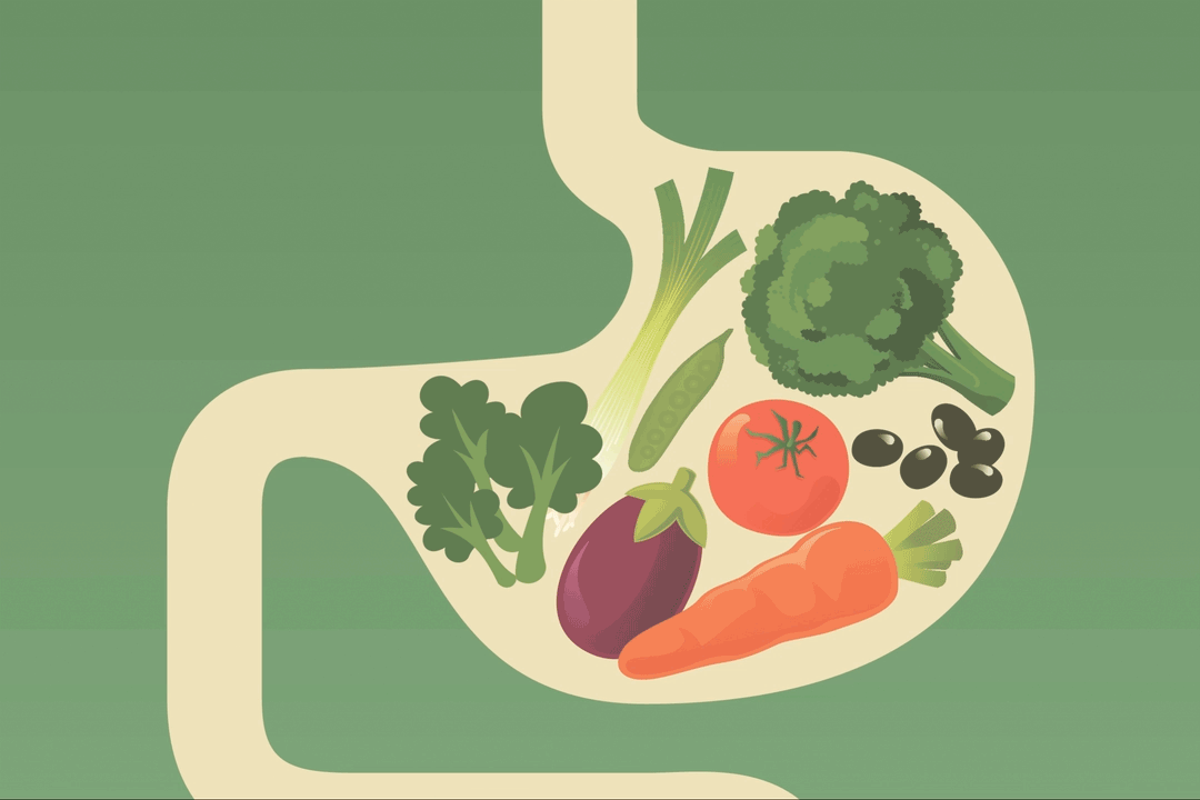 How To Digest Food Faster how-to-digest-food-faster